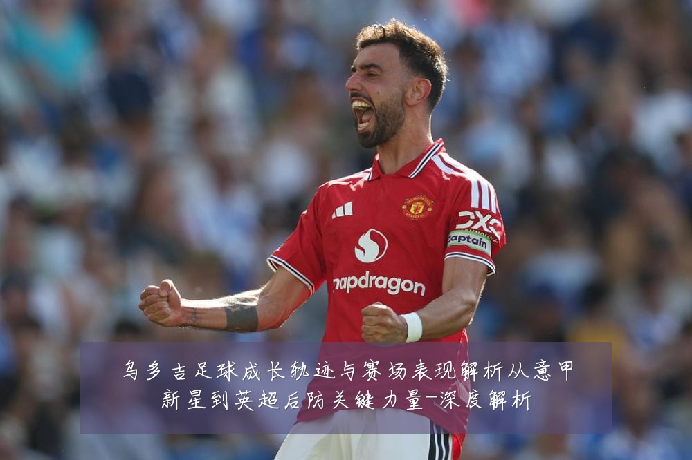 乌多吉足球成长轨迹与赛场表现解析从意甲新星到英超后防关键力量-深度解析